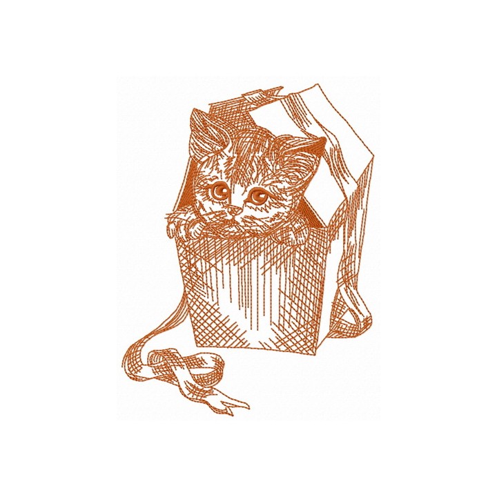 Kitten in a box 2 embroidery design - Embroidery Design