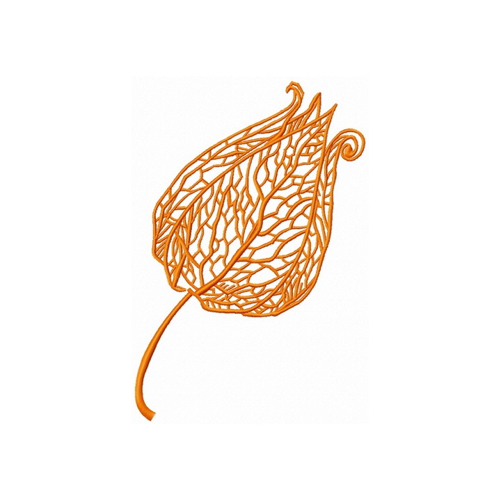 Physalis 4 embroidery design - Embroidery Design