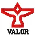 Team Valor logo embroidery design featuring the iconic firebird emblem, ideal for Pokemon-themed stitching projects.