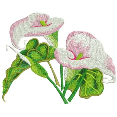 Two arum lilies embroidery design showcasing elegant floral motifs for creative stitching projects.