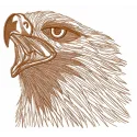 Wild eagle 2 embroidery design featuring a majestic bird in flight, ideal for stitching on apparel and home decor.