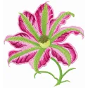 Pink clematis embroidery design showcasing delicate flower motifs for vibrant stitching projects.