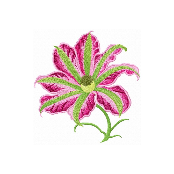 Pink clematis embroidery design - Embroidery Design