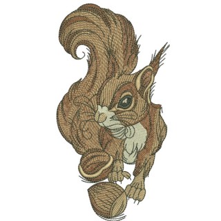 Squirrel with hazelnut 3 embroidery design - Embroidery Design