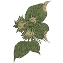 Preview of the Hazelnut 3 embroidery design, showcasing a delightful stitched motif ideal for kitchen decor.