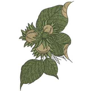 Hazelnut 3 embroidery design - Embroidery Design