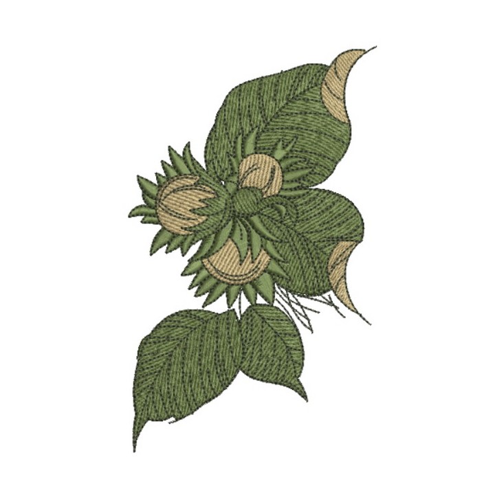 Hazelnut 3 embroidery design - Embroidery Design