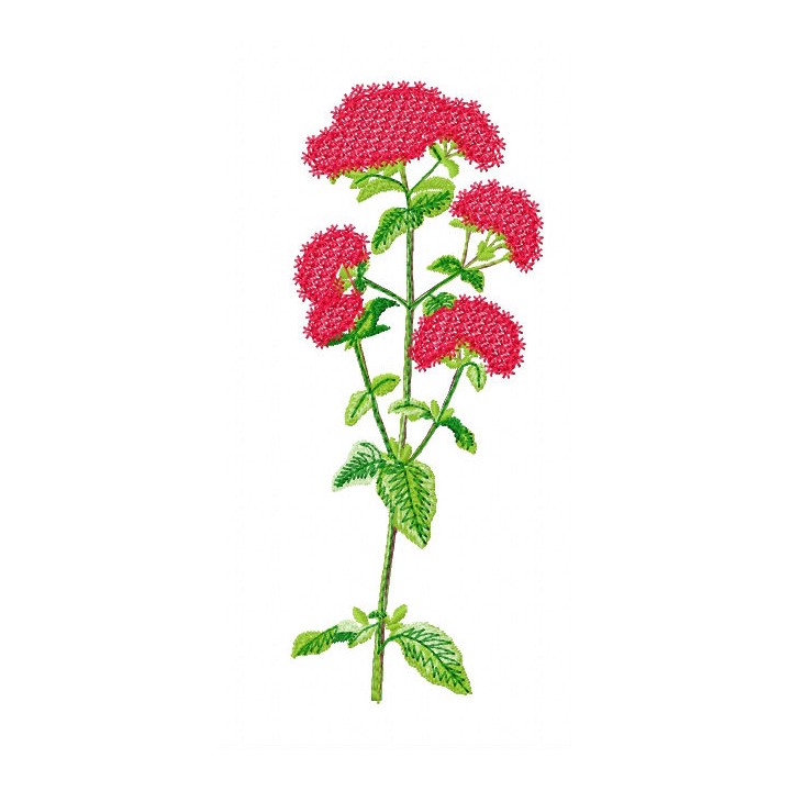 Spiraea  embroidery design - Embroidery Design