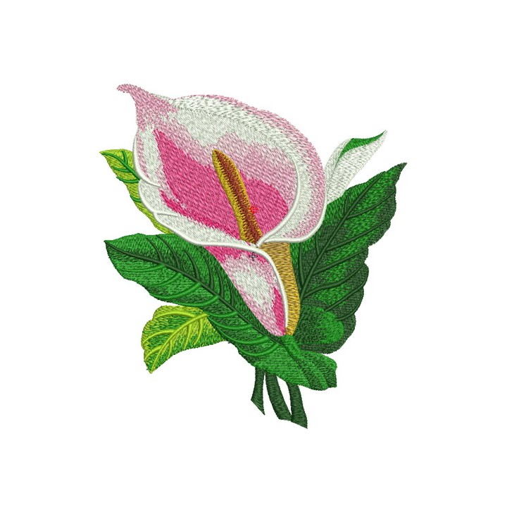 Pink calla lily embroidery design - Embroidery Design