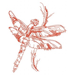 Dragonfly sketch embroidery design - Embroidery Design