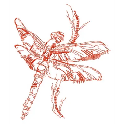 Preview of a dragonfly sketch embroidery design, showcasing intricate details for creative stitching projects.