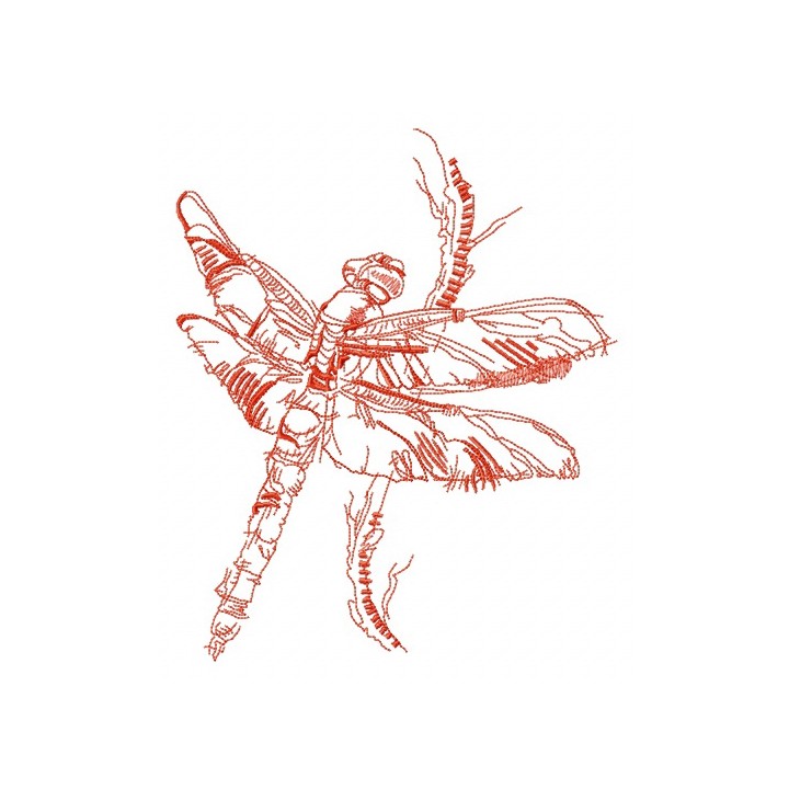 Dragonfly sketch embroidery design - Embroidery Design