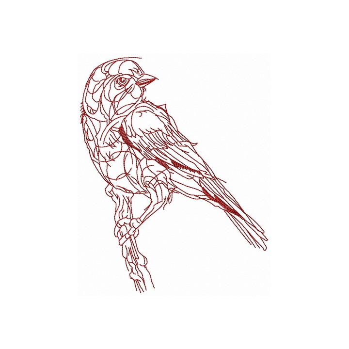 Sparrow sketch embroidery design - Embroidery Design