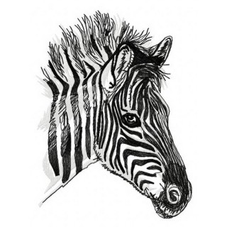Zebra 3 embroidery design - Embroidery Design