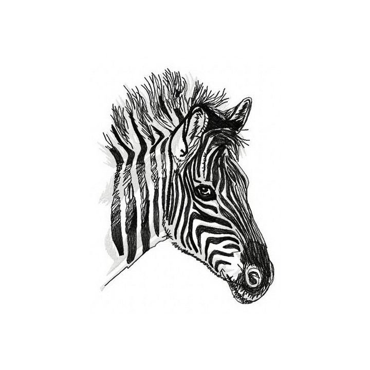 Zebra 3 embroidery design - Embroidery Design