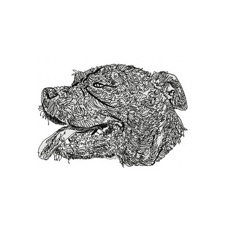 Pitbull embroidery design - Embroidery Design
