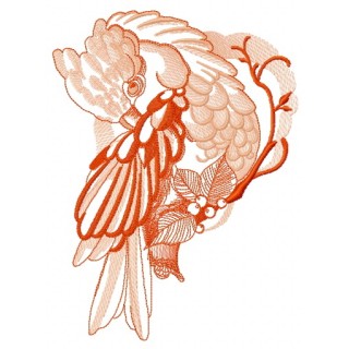 Galah parrot embroidery design - Embroidery Design