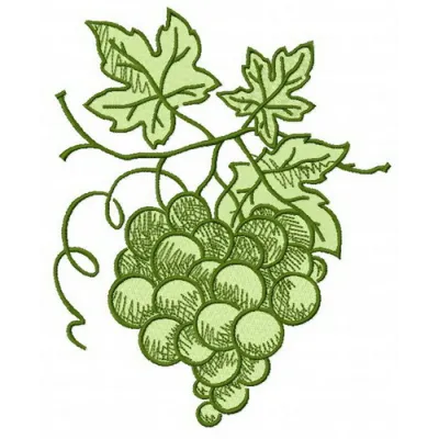 Preview of a green grapes embroidery design featuring detailed stitched motifs of fruit, ideal for various projects.