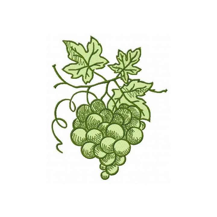 Green grapes embroidery design - Embroidery Design