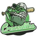 Crocodiles baseball mascot embroidery design featuring a playful crocodile character, perfect for team apparel.